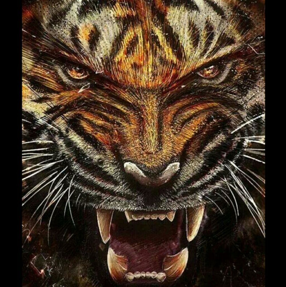 Meet your Posher, Diane